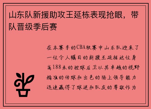 山东队新援助攻王延栋表现抢眼，带队晋级季后赛